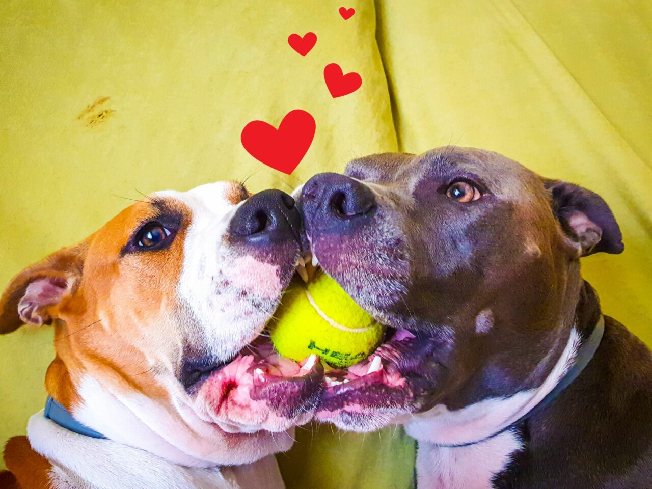 The Perfect Valentine’s Day
at Home